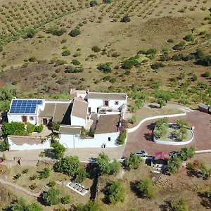 Olivetum Colina Pensión Montoro